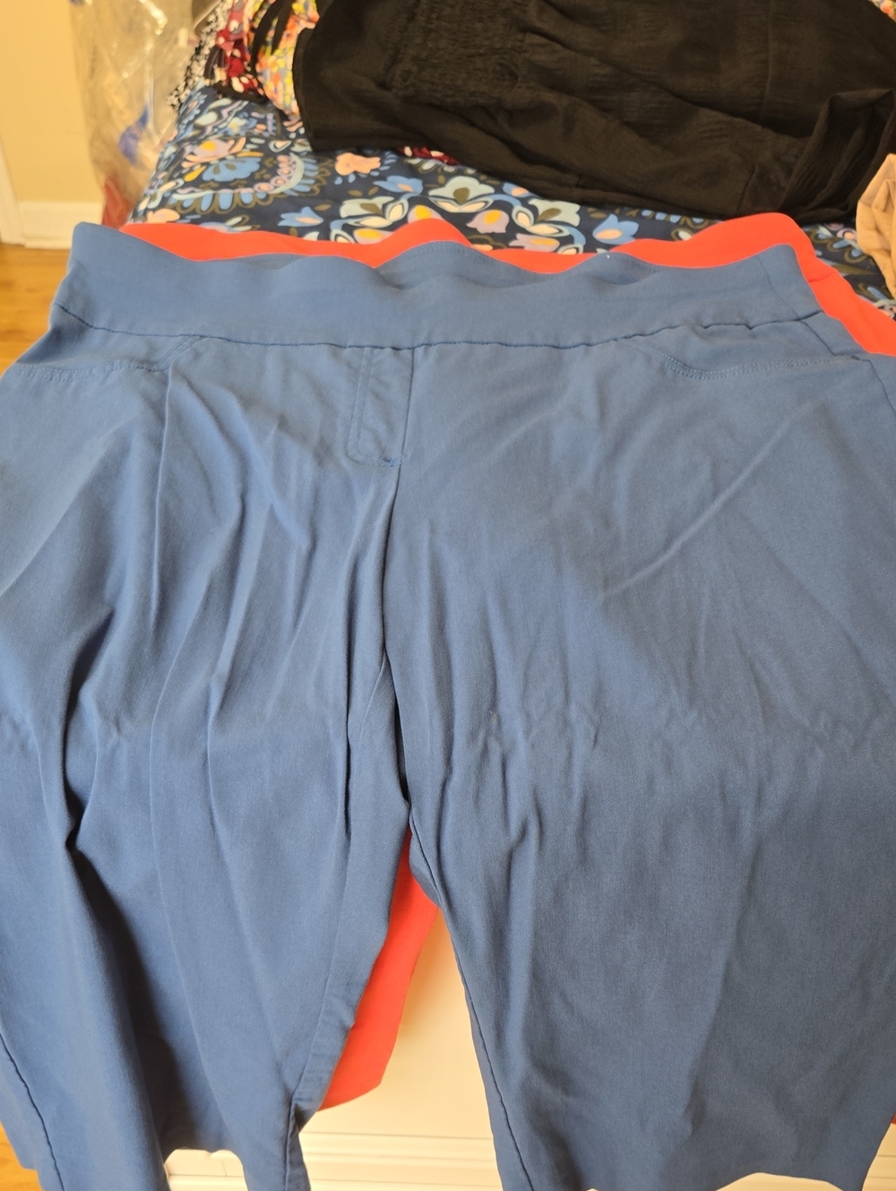Ruby Rd. Blue Pull-On Stretch Capris